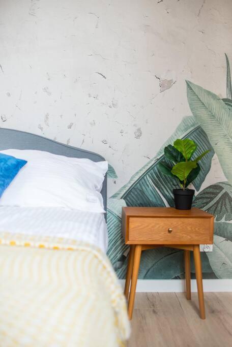 Апартаменти Cozy, Small Studio.great Location / Mala Kawalerka *