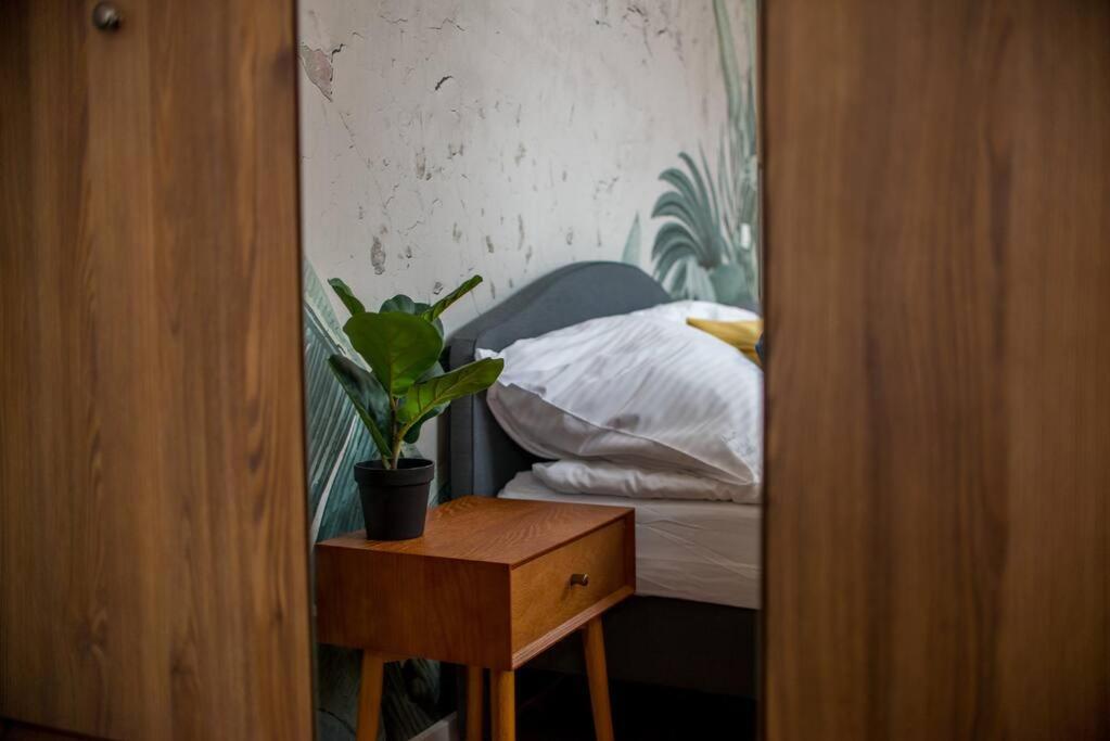 Cozy, Small Studio.great Location / Mala Kawalerka * Stettin