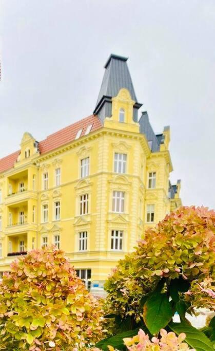 Apartment Cozy, Small Studio.great Location / Mala Kawalerka *